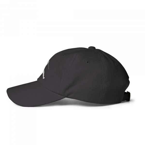 JUMPMAN Dad hat - Image 18