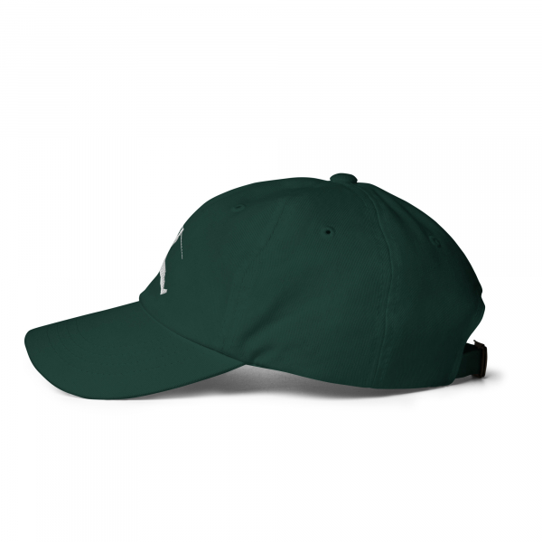 JUMPMAN Dad hat - Image 13